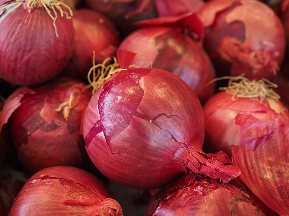 OIGNON rouge - 500 g - 3,50 € /kg -